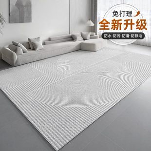 轻奢高级沙发茶几垫免洗可擦天津卧室地毯家用 地毯客厅2024新款