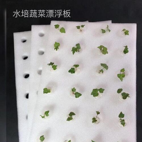 水培器皿漂浮板定植板无土栽培设备水上温室种菜水培泡沫板种植板