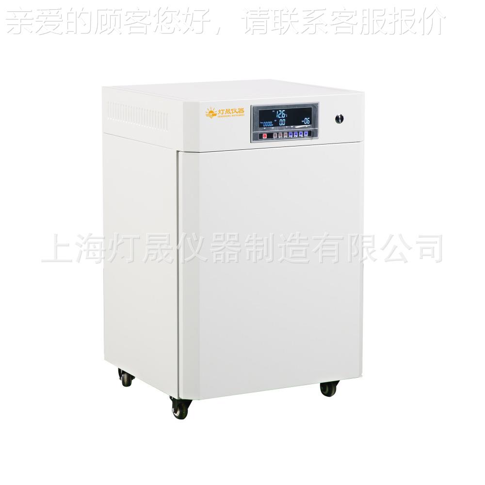 氧二化碳培养箱CO2微生物细胞细设BPN-CH/C菌培养 厂家  可设计制