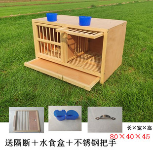 鴿具巢箱鴿子配對籠賽鴿巢箱信鴿配對籠松實木質制組合巢箱鴿子籠