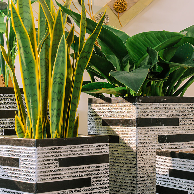 高正方形大口径北欧风格菱镁水泥花盆室内室外客厅民俗绿植干花盆,鲜花速递/花卉仿真/绿植园艺,花盆,淘宝优惠券,粉丝福利购,淘宝优惠卷