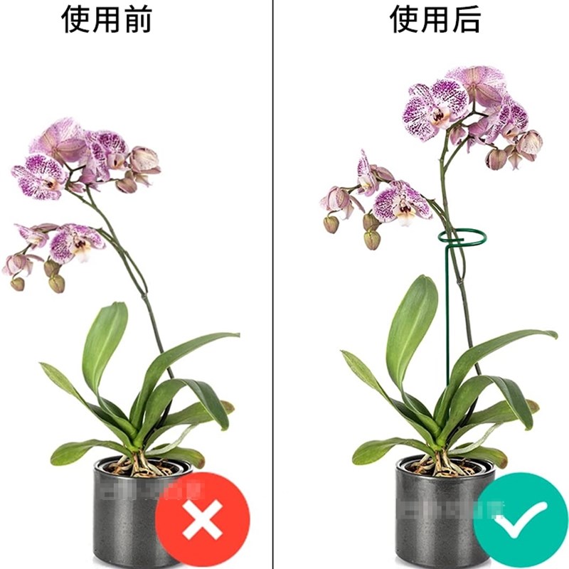 花卉朱顶红花架植物防倒伏支架铁艺绣球吊兰爬藤支撑杆园艺固定架