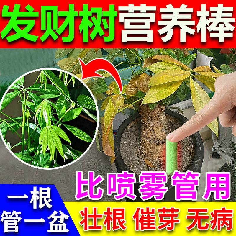 发财树营养棒黄斑病叶斑病专用药枯叶烂根活力素复活液植物缓释肥,鲜花速递/花卉仿真/绿植园艺,家庭园艺肥料,淘宝优惠券,粉丝福利购,淘宝优惠卷