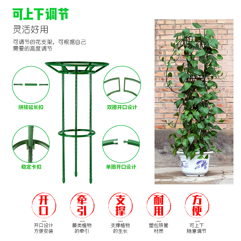 花卉爬藤架蟹爪兰支架月季支撑架绿萝爬藤支撑杆花盆防倒支撑花架
