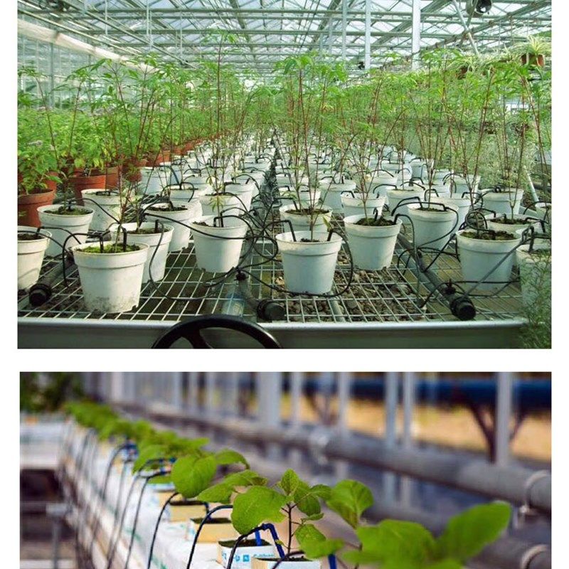 家庭盆栽灌溉浇水滴头植物墙盆栽滴剑滴水浇花 盆景滴灌花卉淋花,鲜花速递/花卉仿真/绿植园艺,智能园艺用品,淘宝优惠券,粉丝福利购,淘宝优惠卷