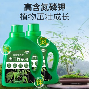 内门竹专用肥营养液肥料盆栽室内盆景竹子竹类复合浓缩观叶植物肥