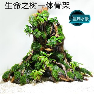 生命之树 沉木树桩骨架 阴性水草 鱼缸造景 懒人景一体拼接骨架
