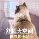 猫包外出便携猫咪航空箱猫笼子狗包宠物大容量太空舱狗背包猫笼子