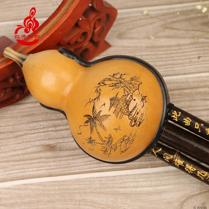 葫芦丝新款紫竹初学型C调降B调小D调大G调F调儿童成人半包围防摔