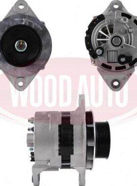 300901-00025发电机A000028发电机DOOSAN斗山发电机