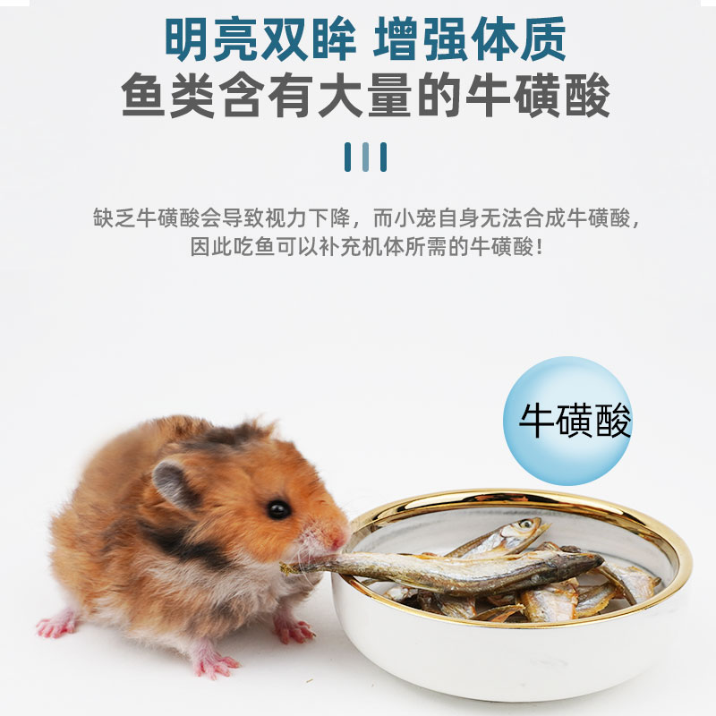 仓鼠零食小鱼干金丝熊海鲜粮配粮食高蛋白增肥美毛小宠物营养用品