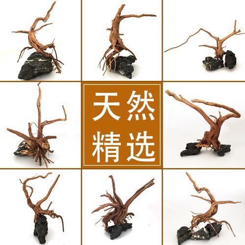 树根树枝鱼缸造景摆件沉木树桩布景森林造景栖根杜鹃根草缸莫斯树