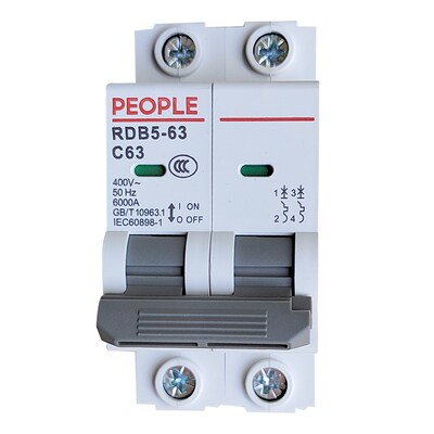 PEOPLE人民电器2P 40A双进双出断路器空气开关C63两相电20总32 25