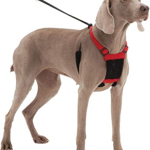 轻便便捷牵引中小型犬狗背带泰迪雪纳瑞比熊外出遛狗 宠物胸背带
