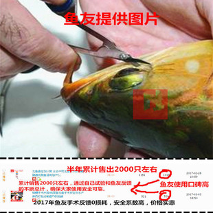 观赏鱼龙鱼鱼用专用镇定剂麻醉鱼药安定剂稳定手术掉眼用鱼缸药