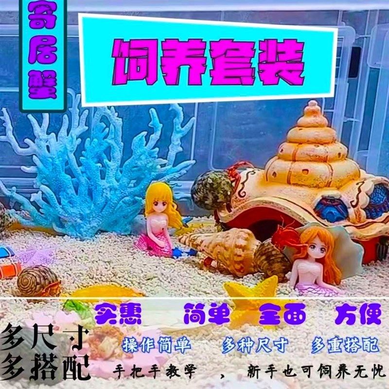 寄居蟹饲养套餐饲养箱盒宠物造景缸沙蟹小别墅桌面萌宠生态螃蟹缸,宠物/宠物食品及用品,生态瓶/创意缸/微景缸,淘宝优惠券,粉丝福利购,淘宝优惠卷
