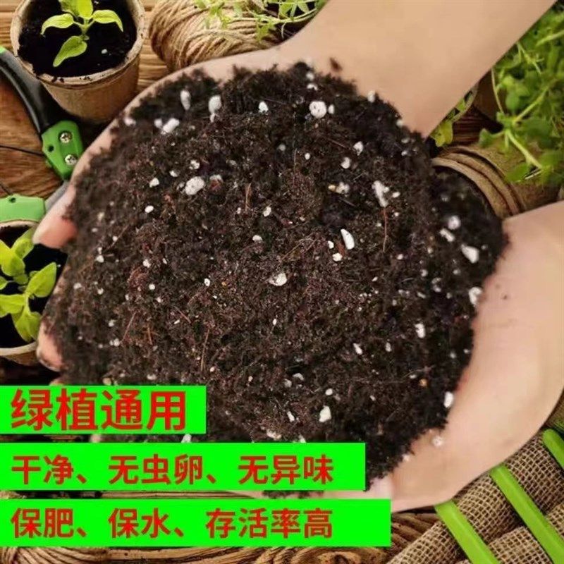 花盆营养土带土塑料白盆懒人盆自动吸水盆向日葵多肉种球薄荷泥土,鲜花速递/花卉仿真/绿植园艺,花盆,淘宝优惠券,粉丝福利购,淘宝优惠卷