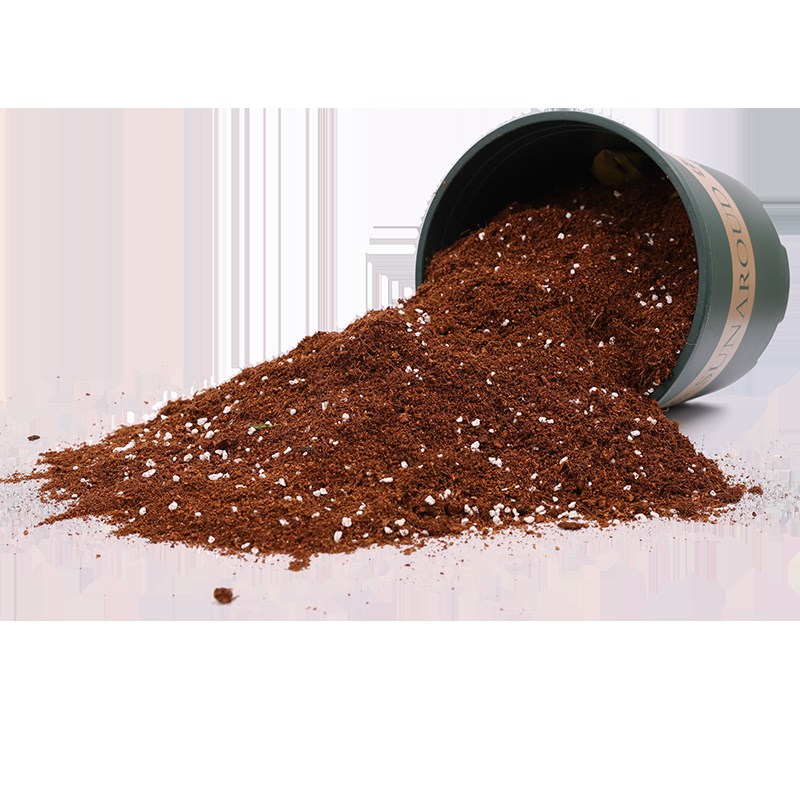 红枫专用土种花泥土枫树专用营养土肥料养花通用花土颗粒土种植土