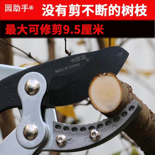 修剪树枝专用粗枝剪 强力园艺修枝工具 果树剪刀第三代伸缩Shark