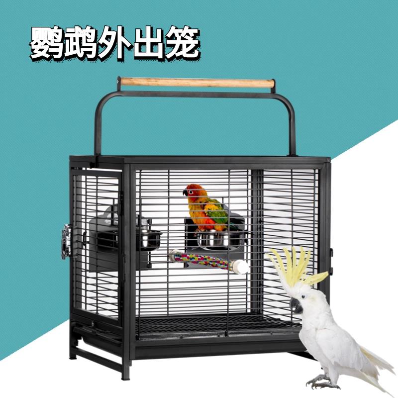 达洋A60手提鸟笼 外出笼 外出箱 鹦鹉便携箱鸟用航空箱 外出鸟笼