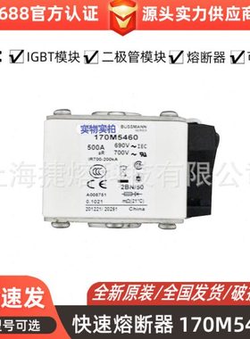 170M5460 170M5462   快速熔断器  保险丝 电子元器件 量大价优