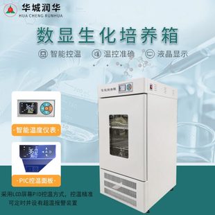 恒温恒湿霉菌培养箱低温 厂促数显生化培养箱 细菌微生物实验室培