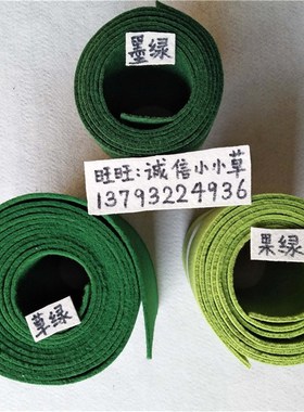 绿色地毯加厚 纯绿拉绒地毯 墨绿黑绿草绿浅果绿色 长期满铺地毯