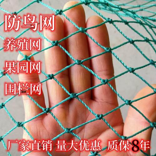 防鸟天网养殖网养鸡网果园网尼龙网爬藤网鱼塘箱网大棚网围栏网