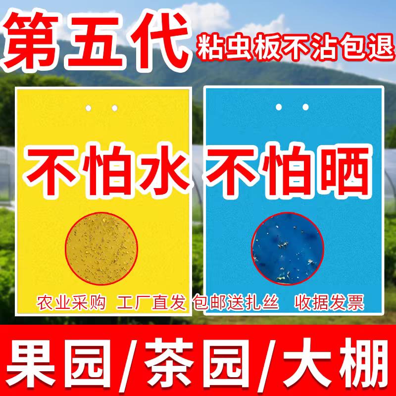 现货速发黄蓝双面粘虫板大棚果树菜园诱虫板粘小黑飞蓟马防虫贴纸