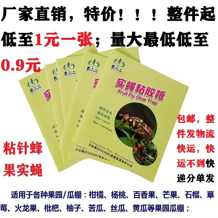 实蝇粘板诱捕器针蜂粘贴果实板果蝇引诱剂果诱粘剂粘虫板针锋贴