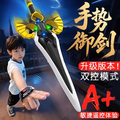 【厂商授权丨售后有保障飞剑】