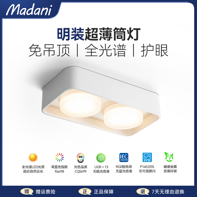 麦丹妮全光谱明装双头筒灯客厅卧室防眩护眼斗胆灯现代极简无主灯