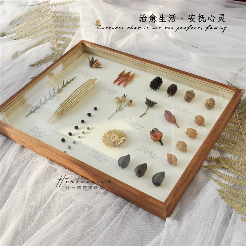 标本植物果实树叶昆虫蝴蝶干花复古相框手作森系装饰画墙壁挂画图片
