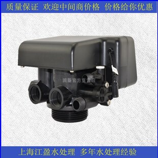 润新F 吨自动控制树脂硬水软化锅炉软化水头软水