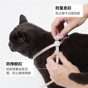 宠物外出手腰牵舒适遛猫绳 BuddyArmor超轻牵引绳防挣脱胸背带套装