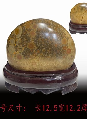 钱币石原石天然石钱币外蒙金钱石收藏石头摆件