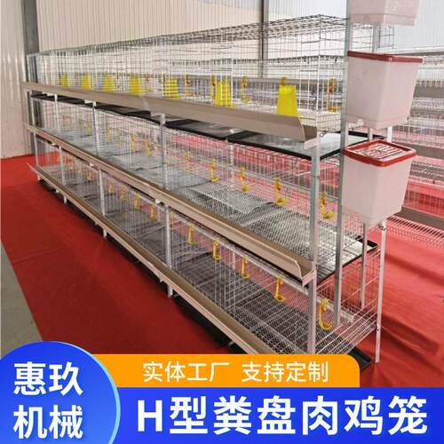 粪盘肉鸡笼含托粪盘塑料网育鸡用养殖设备H型笼具机械蛋鸡鸡粪
