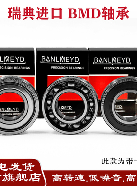 瑞典BMD高品质带卡簧槽轴承6216/6217/6218/6219-2ZN/-2RSN/P5