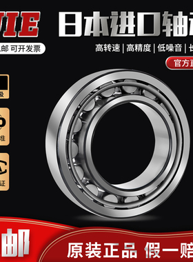 进口UIE轴承N NU NJ NUP 212 213 214 215 216 EC ECM ECJ ECP C3