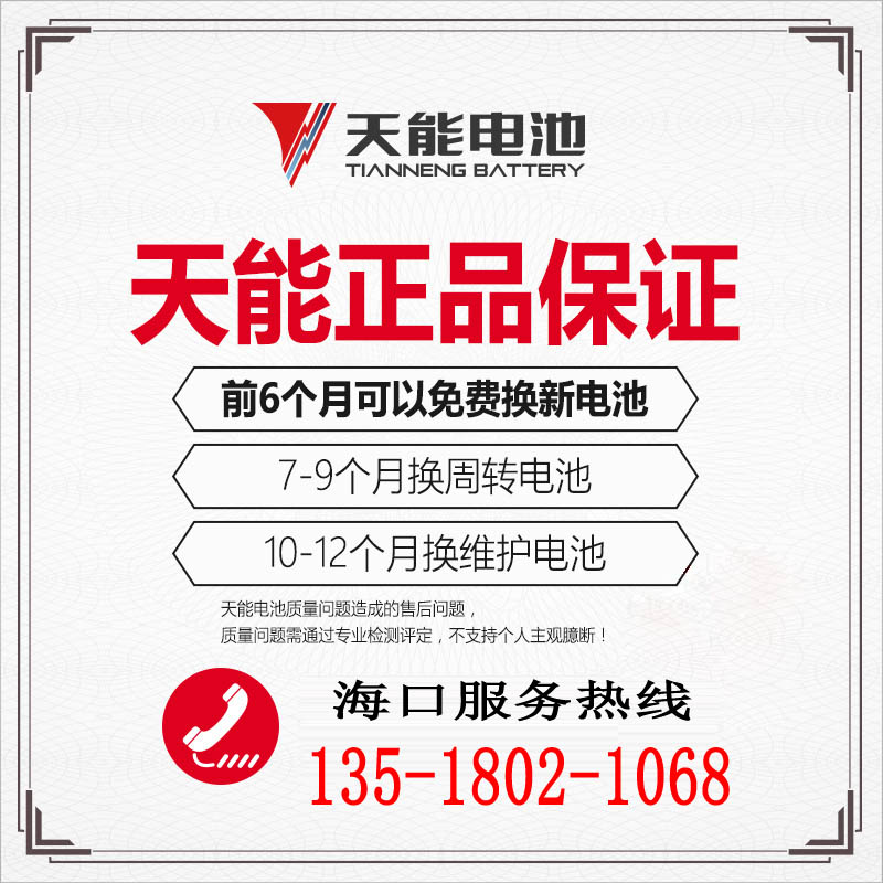 天能电池黑金电池铅酸电池原装天能真黑金电池8V0V72V202H