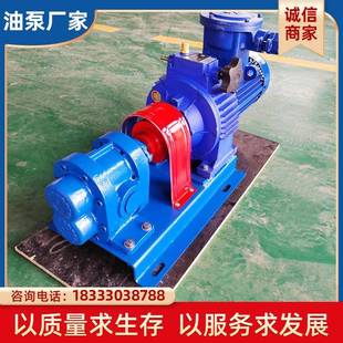 润滑油大流量抽油泵 2CY齿轮泵增压燃油泵电动单吸式