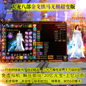 宝 无限元 金戈铁马超变行走技能书新天龙八部单机版 免虚拟机免安装