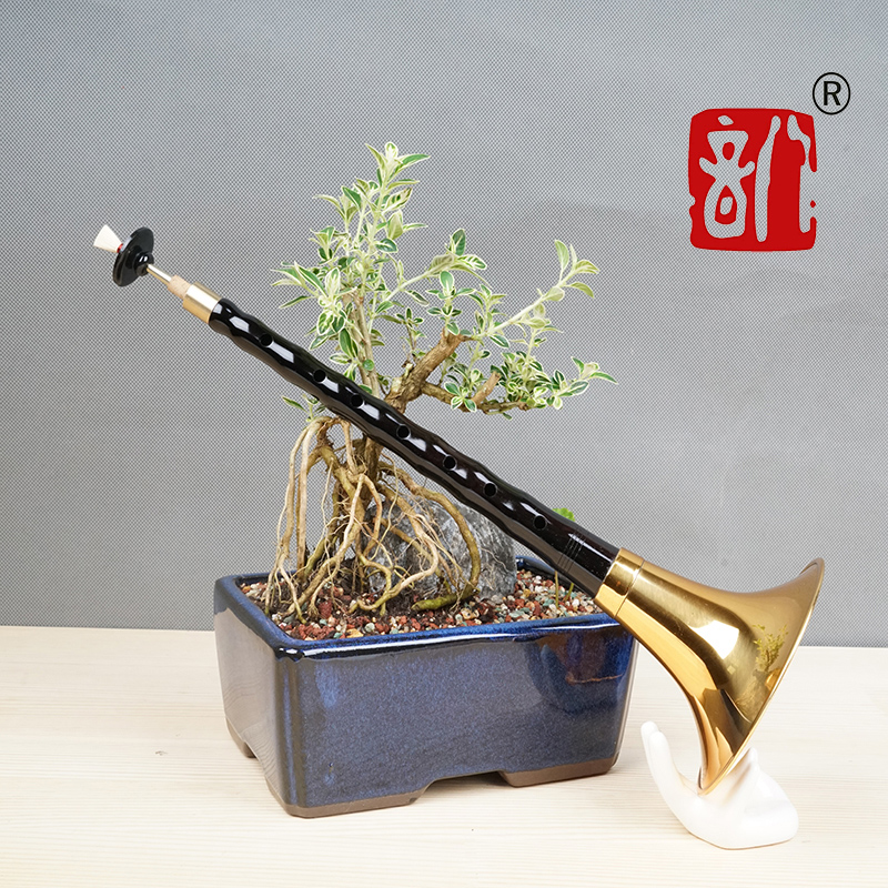 八音唢呐初学者专业乐器全套乌木黑檀D调降B红木喇叭吹服务紫光檀