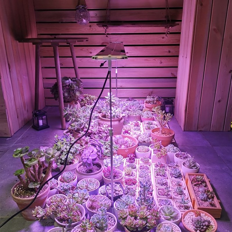 wega贵翔 仿太阳LED植物生长灯全光谱多肉灯育苗灯月季水草补光灯