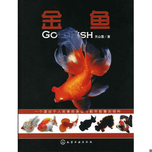 书金鱼 化学工业出版 9787122110503 著 社 天山雪 库存绝版