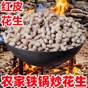 农家柴火铁锅炒花生500g新货红皮花生坚果零食原味带壳下酒菜炒货