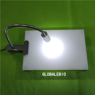 大鼠解剖台 小鼠解剖台 实验小动物解剖台 大小鼠手术板手术台灯