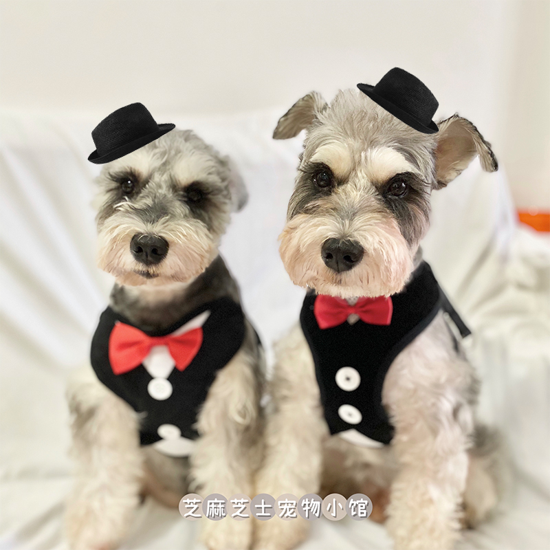 晚礼服西装胸背带牵引绳宠物狗狗猫咪用品泰迪比熊雪纳瑞狗绳背心