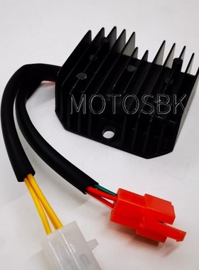 龙嘉V咖 LJ250-2V 稳压器 整流器 充电器【V咖 V途 V霸通用】