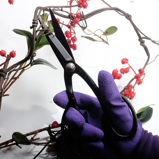 修枝剪园艺修花花剪插花剪 不锈钢叶芽剪盆景工具剪刀月季